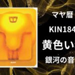 【マヤ暦-今日はどんな日】KIN184「黄色い種」のメッセージ