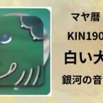 【マヤ暦-今日はどんな日】KIN190「白い犬」のメッセージ