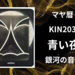 【マヤ暦-今日はどんな日】KIN203「青い夜」のメッセージ