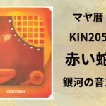 【マヤ暦-今日はどんな日】KIN205「赤い蛇」のメッセージ