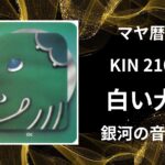 【マヤ暦-今日はどんな日】KIN210「白い犬」のメッセージ