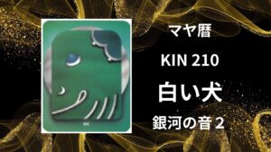 【マヤ暦-今日はどんな日】KIN210「白い犬」のメッセージ
