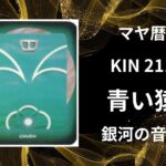 【マヤ暦-今日はどんな日】KIN211「青い猿」のメッセージ