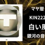 【マヤ暦-今日はどんな日】KIN222「白い風」のメッセージ