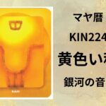 【マヤ暦-今日はどんな日】KIN224「黄色い種」のメッセージ