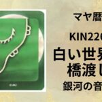 【マヤ暦-今日はどんな日】KIN226「白い世界の橋渡し」のメッセージ