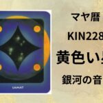 【マヤ暦-今日はどんな日】KIN228「黄色い星」のメッセージ