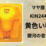 【マヤ暦-今日はどんな日】KIN244「黄色い種」のメッセージ
